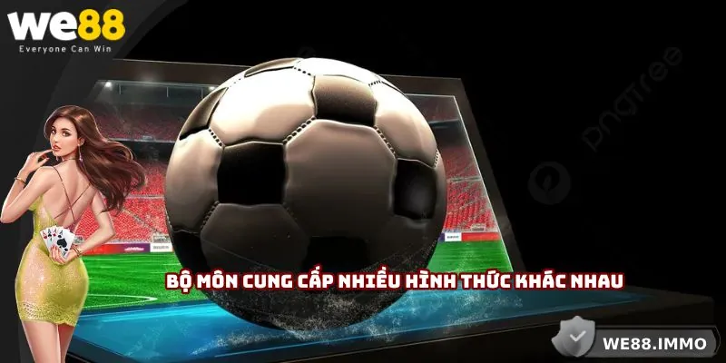 Bộ môn cung cấp nhiều hình thức khác nhau